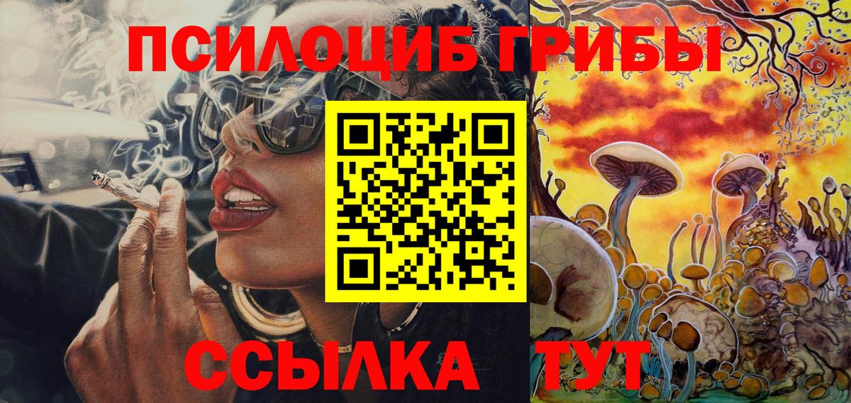 Галлюциногенные грибы MAGIC MUSHROOMS Будённовск