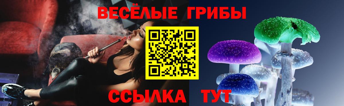 Галлюциногенные грибы Magic Shrooms  Вход с VPN  Будённовск 
